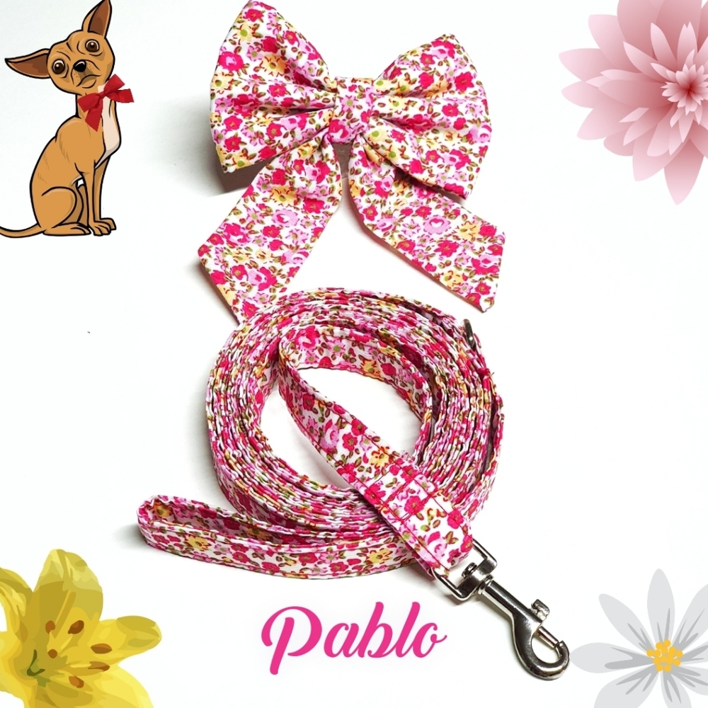 🐶 5 for $15 * Pablo Floral Cotton Dog Bow Tie & Leash Set